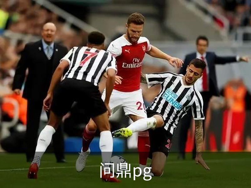 问鼎pg简介
